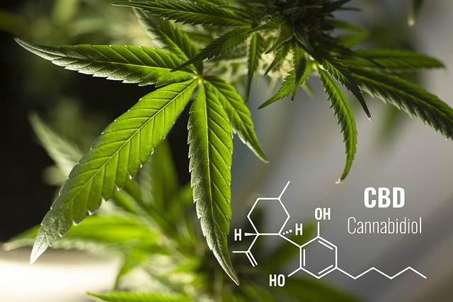 De wonderen van CBD capsules: Een diepgaande verkenning